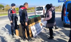 Aydın’da otobüsün bagajından 400 litre sahte zeytinyağı çıktı