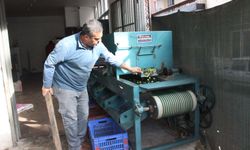 Aydın’da zeytinler boyutuna göre ayrılıyor