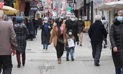 Aydın’ın 2 ilçesi il oluyor