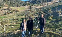 Aydın’ın sevilen siyasetçisi artık tarımla uğraşıyor