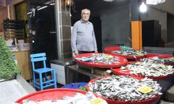 Aydınlı hamsi mi sardalya mı yiyor?