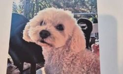 Aydınlılara seslendi, bulana 10 bin lira verecek