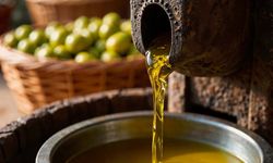 Bakanlık Aydın’daki 3 firmayı açıkladı