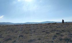 Meralarda maden arama izni verildi