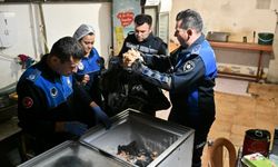 Millete bunları satıyorlardı! Mide bulandıran görüntüler