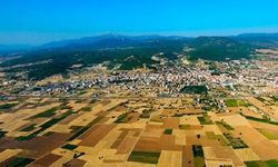 Muhtar listeyi vermedi, görevden alındı