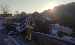 Tır kontrolden çıktı