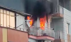 Yangında 6 kedi telef oldu