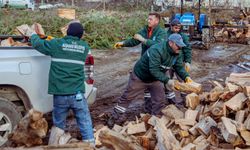 Kuşadası’nda ağaç atıkları ihtiyaç sahipleri için kara kışta yakacağa dönüşüyor