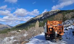 Aydın’a kar yağıyor