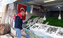 Aydın’da balık tezgahlarına denetim