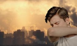 Aydın’da hava kalitesi “kötü” seviyede