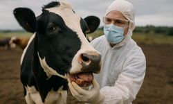 Aydın’da karantina kararı