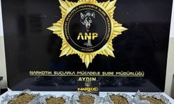 Aydın’da uyuşturucu operasyonu düzenlendi