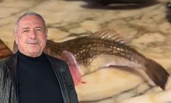 Balık aldı, gördükleri sonrası yiyemedi