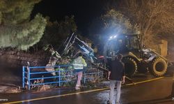 Germencik’te ağaçlar devrildi