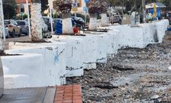 Kuşadası’nda Büyükşehir Belediyesi sorumluluğundaki alanlar harabeye döndü