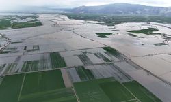 Aydın felaketi yaşıyor