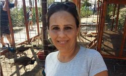 Aydın yolunda acı olay.. 45 yaşındaydı