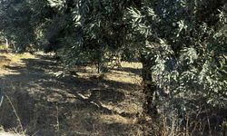 Aydın’da 5 kişi basıldı.. Yakalandıkları yer pes dedirtti!