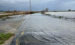 Aydın’da Büyük Menderes taştı, karayolu kapandı