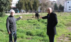 Aydın’da iki katırı ölüme terk ettiler