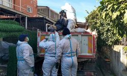 Aydın’da mide bulandıran görüntüler.. Kamyon kamyon çöp çıktı