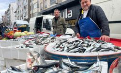 Balıkçılar satışlardan memnun, vatandaş fiyatlardan şikayetçi