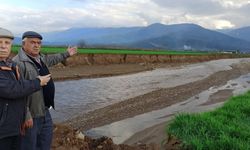 Baraj tahliye suyu sel oldu, tarlalar harabeye döndü