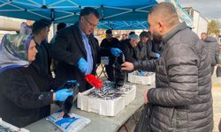 Belediyenin ikramı 8 ton hamsi 1 saatte tükendi