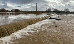 Değirmendere deresi taştı, tarım arazilerini ve iş yerlerini su bastı