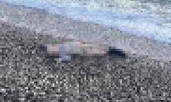 Deniz kıyısında çocuk cesedi bulundu