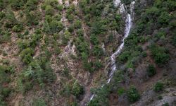 Kuruyan şelale yeniden akmaya başladı