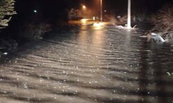 Naipli Çayı taştı, Germencik Belediyesi ekipleri müdahale etti