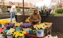 Nergisler pazara renk katıyor