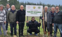 CHP'li başkan fidan dikerken galoş giydi