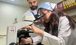 Annesini kanserden kaybetti, kanseri teşhis eden yapay zeka destekli proje geliştirdi