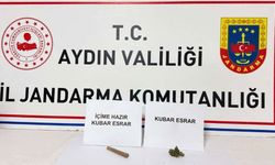 Aydın’da 10 ilçede operasyon