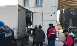 Aydın’da 290 kasa balığa el kondu