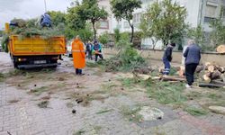 Aydın’da faciadan dönüldü