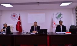 Aydın’da sahipsiz sokak hayvanları toplantısı