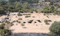 Aydın'ın "öksüz" antik kenti ilgi bekliyor