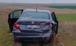 Bariyerlere çarpıp tarım arazisine giren otomobilde 5 kişi yaralandı
