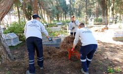 Başkan Çerçioğlu talimat verdi, Aydın’da mezarlıklar bayrama hazırlandı