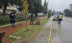 Başkan Çerçioğlu talimat verdi, Nazilli’deki yürüyüş yolu pırıl pırıl oldu