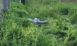 Bayramdan beri aranıyordu, yaşlı adamdan acı haber