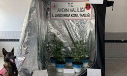 Buharkent’te operasyon