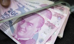 Çine’de zeytinlik ve besi damı icradan satışa çıkarıldı