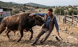 Dananın saldırısına uğrayan muhtar hayatını kaybetti