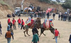 Deve güreşi tarihi belli oldu